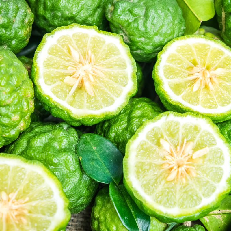 bergamot-essential-oil-benefits-uses-and-origin-foodcraft-online-store