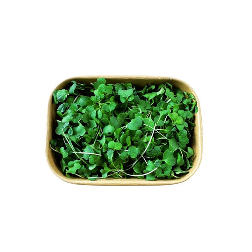 Broccoli Sprouts (Pesticide Free) - Foodcraft Online Store