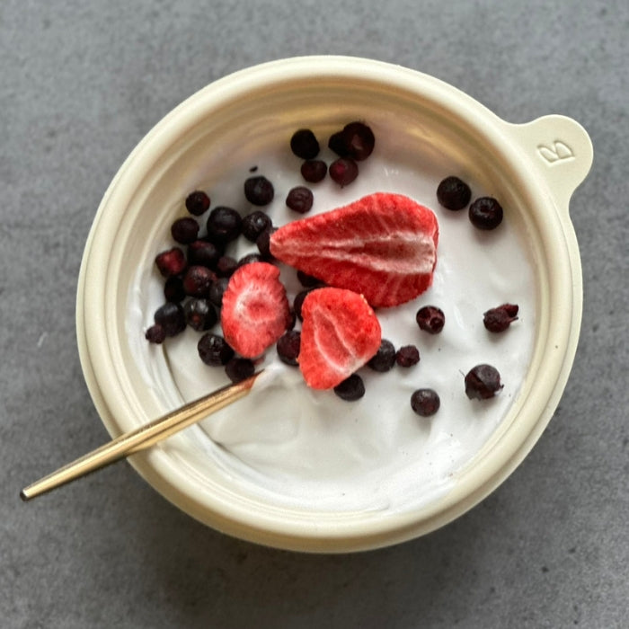 Dairy Free Cultured Coconut Yogurt -Foodcraft Online Store