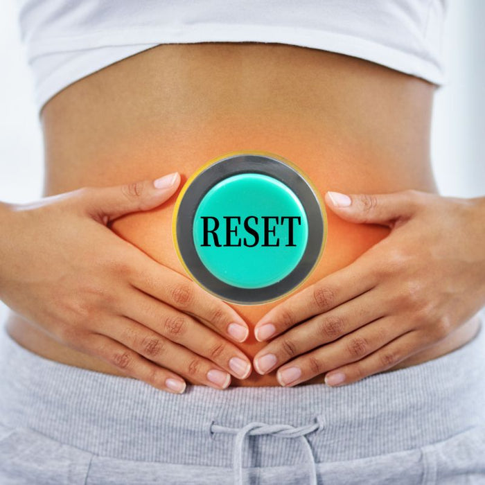 GUT RESET THE AYURVEDA WAY - Foodcraft Online Store