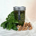 Raw Sprouted Walnut Pesto - Foodcraft Online Store