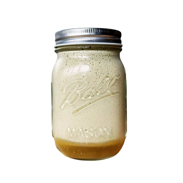 Sprouted Fresh Whole Pumpkin Seed Milk Unsweetened (Extra Rich) -  Foodcraft Online Store