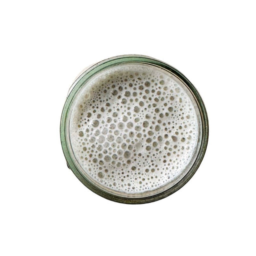 Sprouted Fresh Whole Sunflower Seed Milk Unsweetened - Foodcraft Online Store