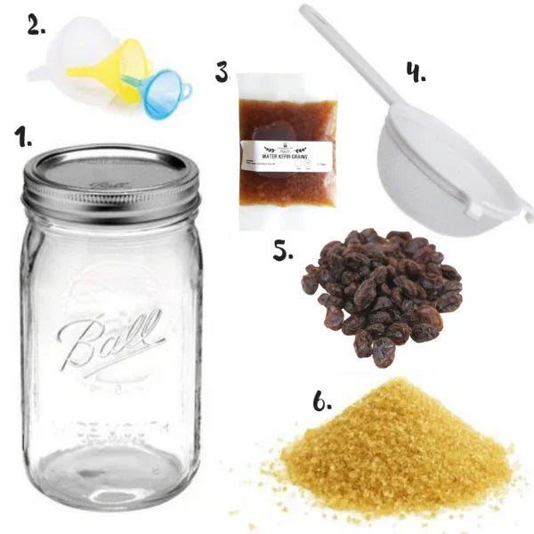 Water Kefir-Making Essentials Starter Kit - 6 Products