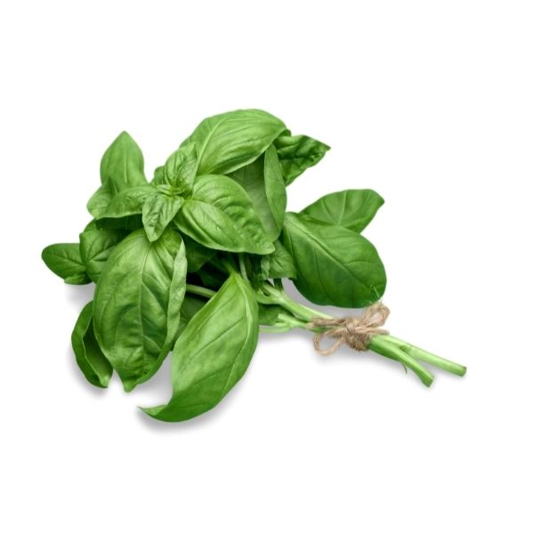 Fresh Sweet Basil 100g FoodCraft Online Store